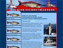 Tablet Screenshot of bigkingsalmoncharters.com